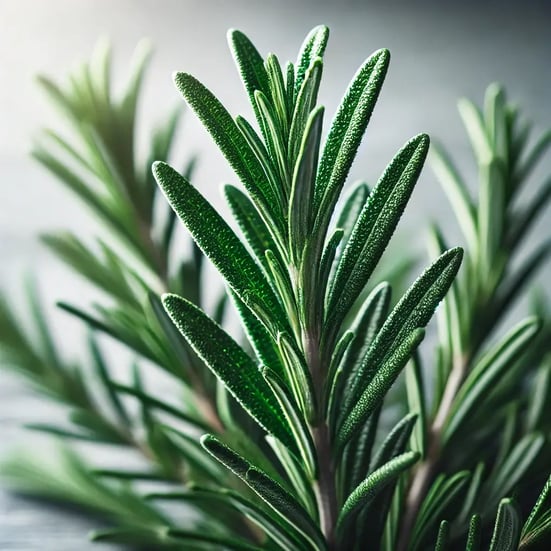 DALL·E 2024-09-20 16.17.01 - A close-up, high-quality image of fresh rosemary sprigs. The vibrant green leaves are needle-like, dense, and aromatic, with a slight sheen. The sprig